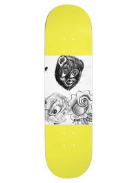 Beary Awesome Deck