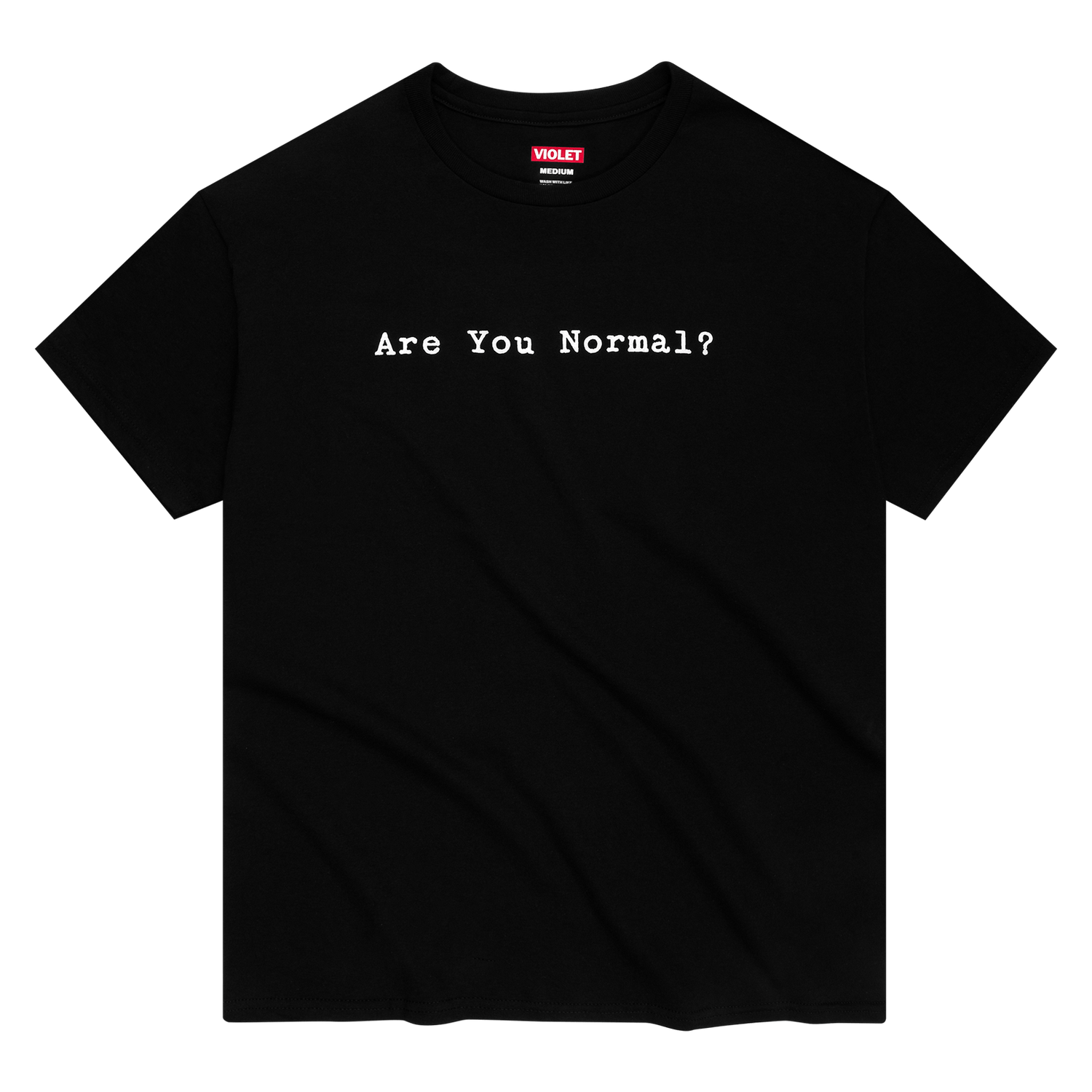 "Are You Normal?" T-Shirt
